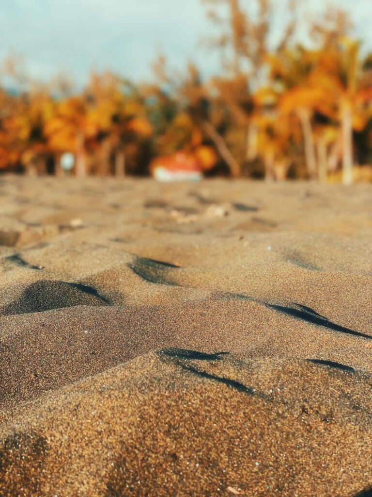 Réunion un coeur vagabond