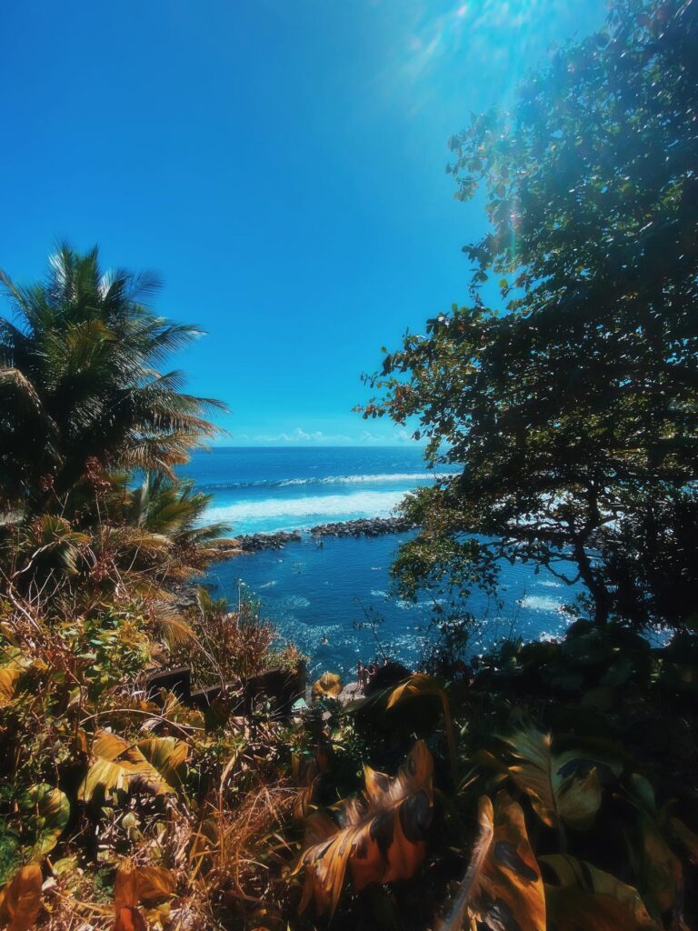 Réunion un coeur vagabond