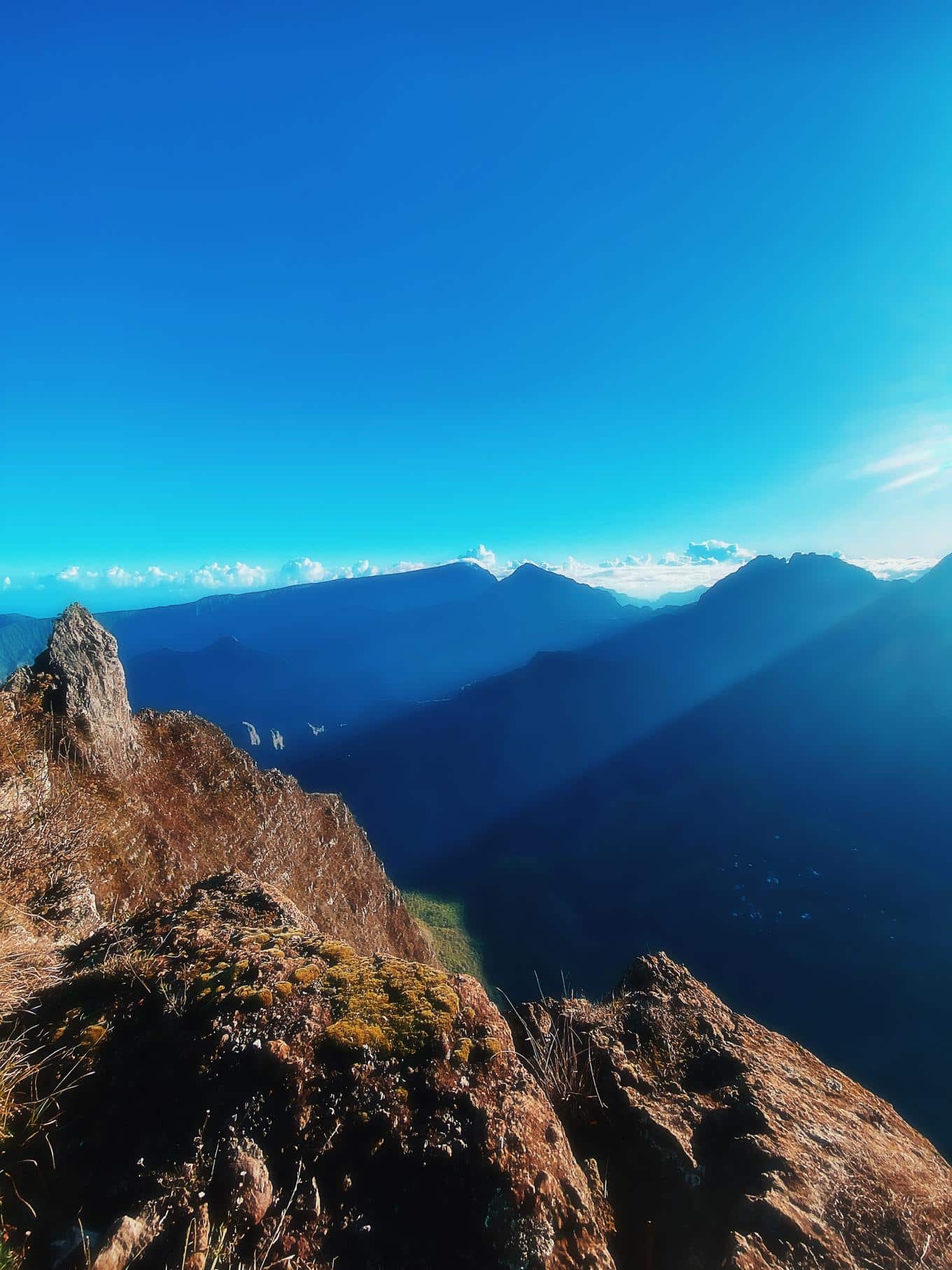 Réunion un coeur vagabond