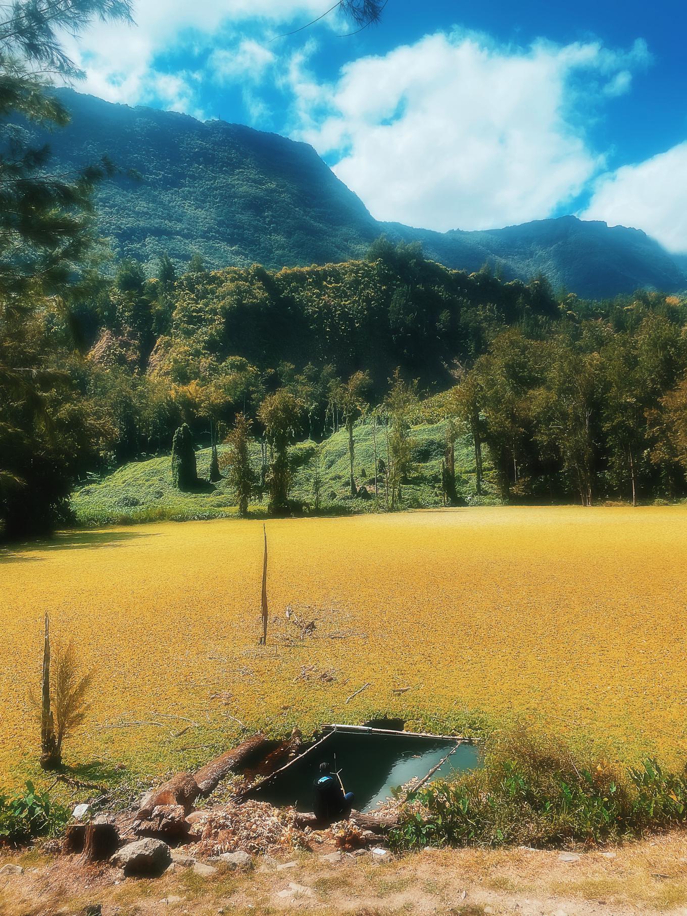 Réunion un coeur vagabond