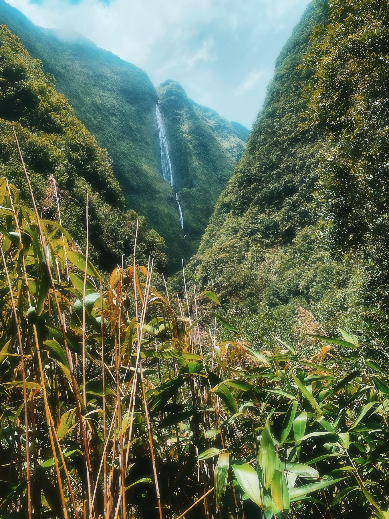 Réunion un coeur vagabond