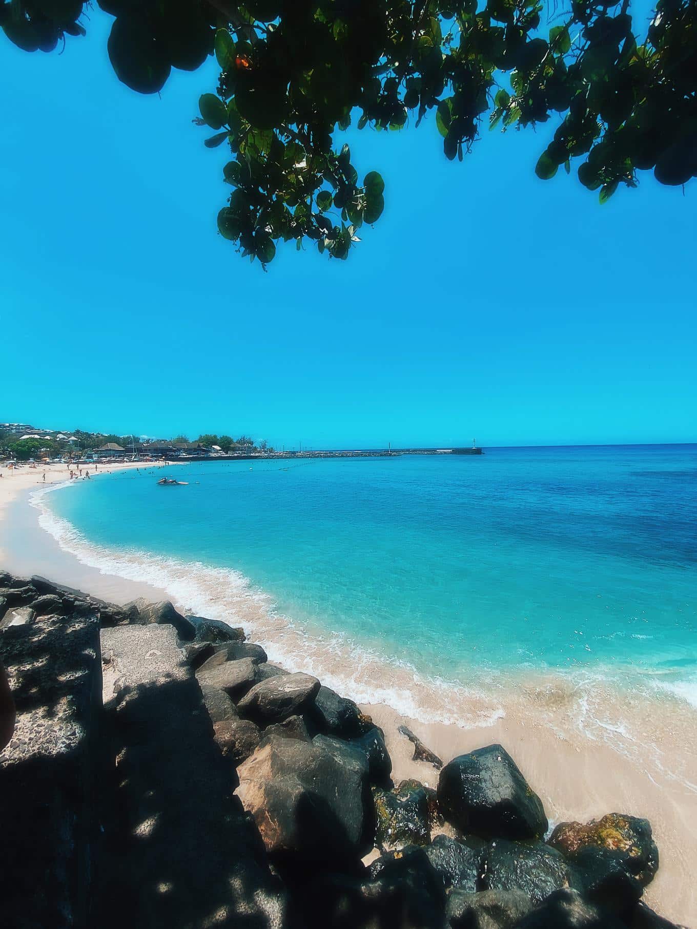 Réunion un coeur vagabond