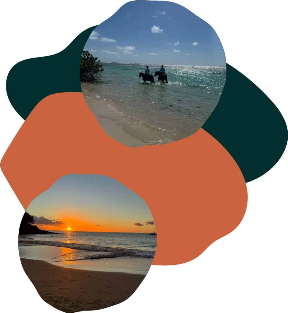 La Guadeloupe un coeur vagabond agence de rencontre et de voyage