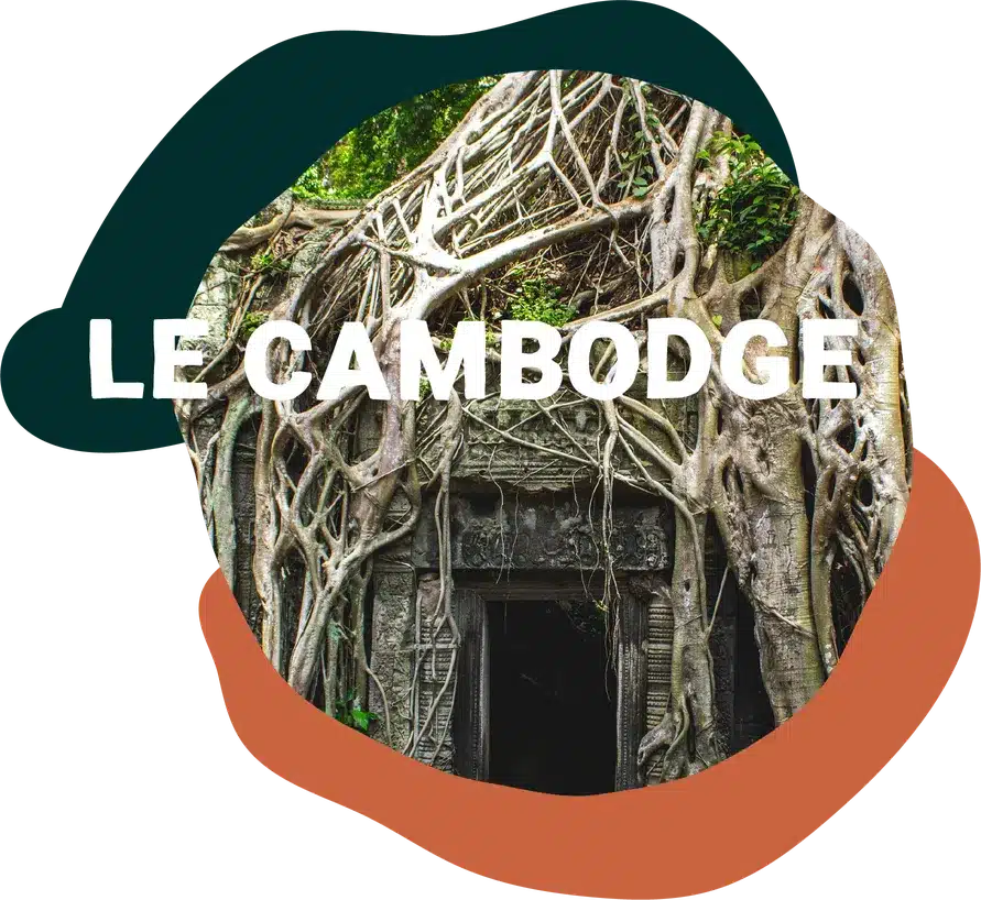 Le Cambodge un coeur vagabond agence de rencontre et de voyage