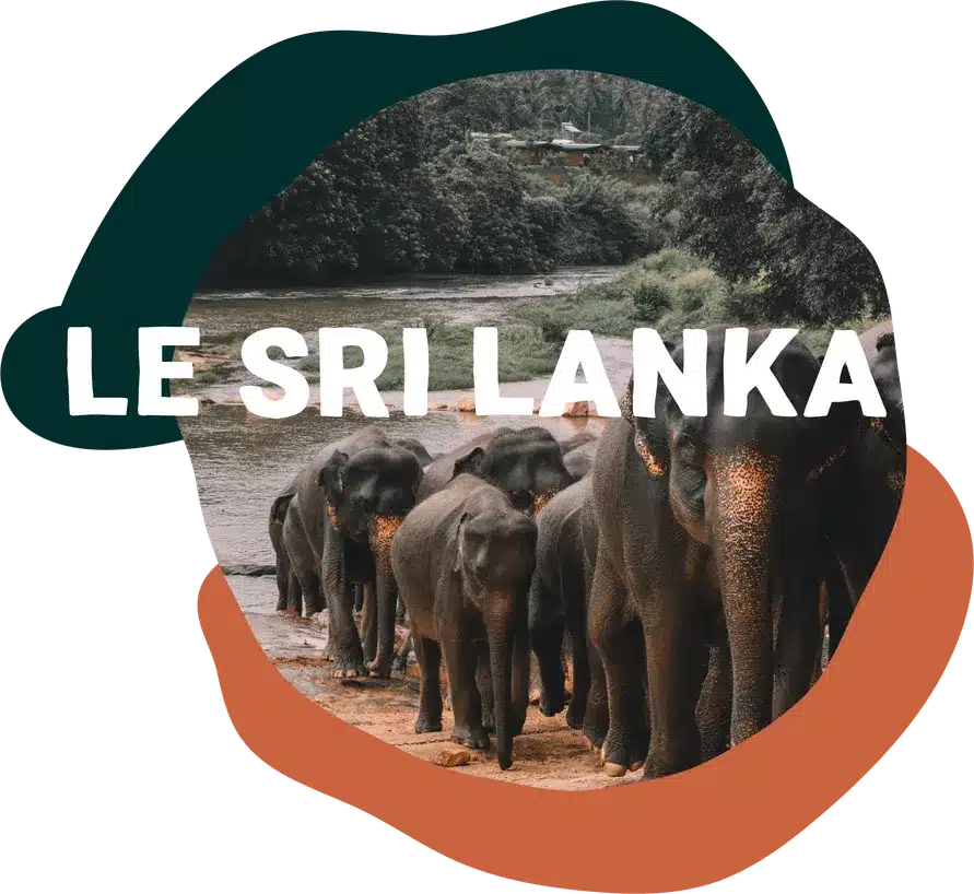 Le Sri Lanka un coeur vagabond agence de rencontre et de voyage