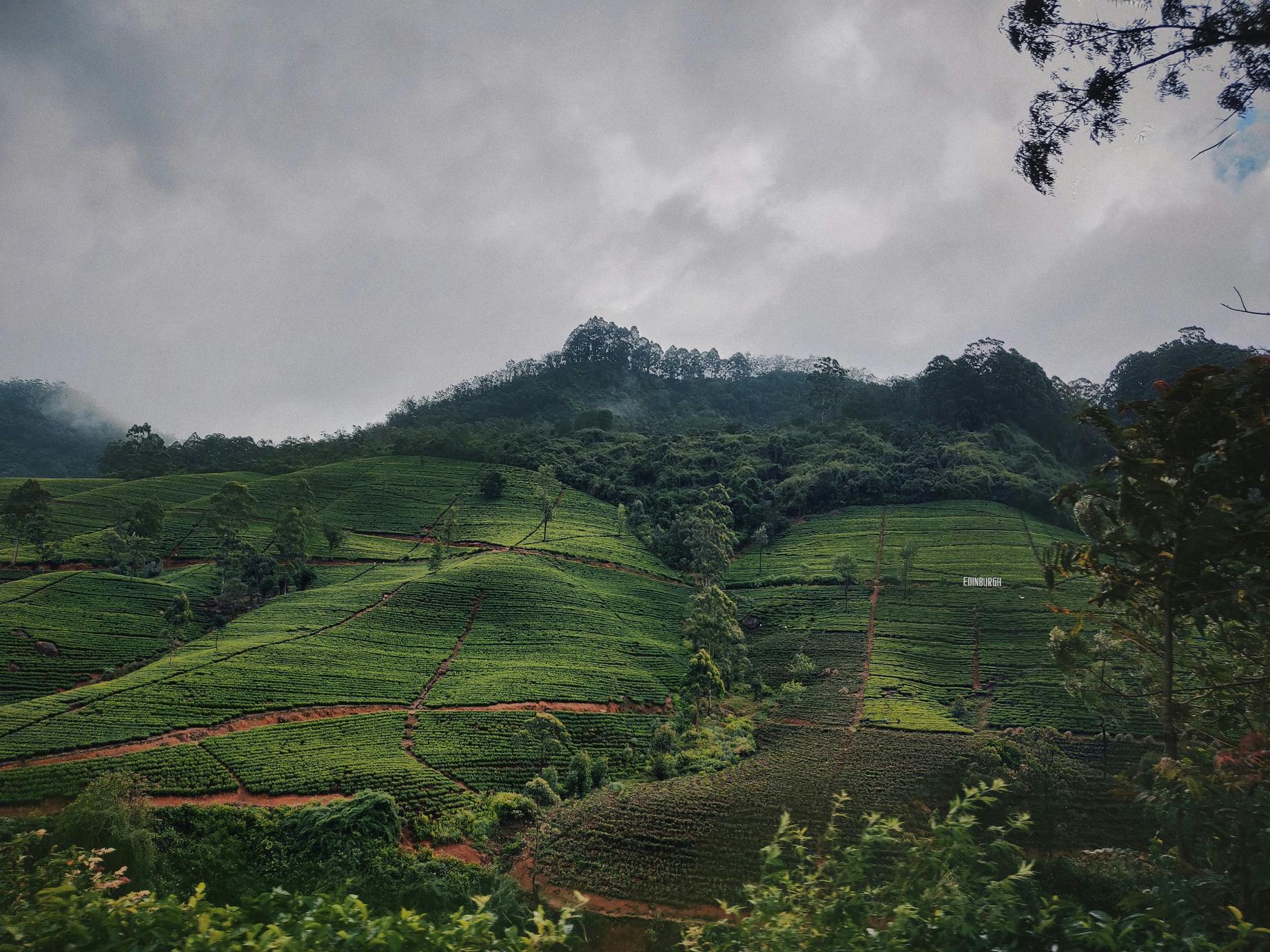 Le Sri Lanka un coeur vagabond agence de rencontre et de voyage
