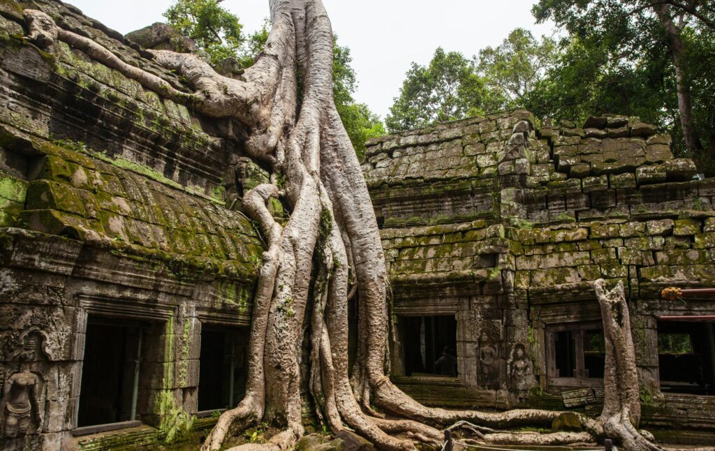 Le Cambodge un coeur vagabond agence de rencontre et de voyage
