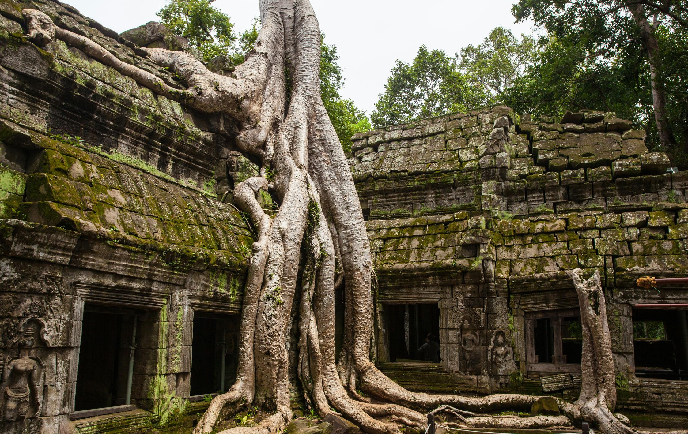 Le Cambodge un coeur vagabond agence de rencontre et de voyage