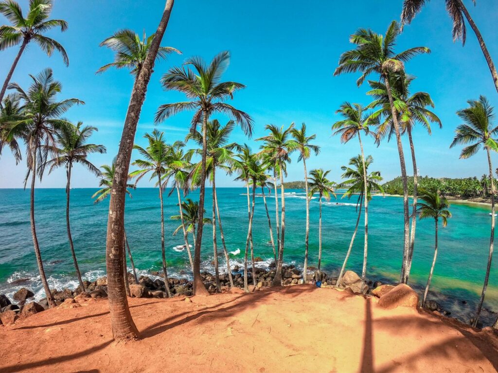 Le Sri Lanka un coeur vagabond agence de rencontre et de voyage