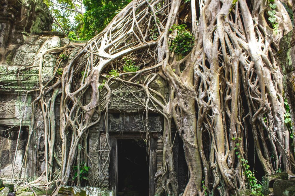 Le Cambodge un coeur vagabond agence de rencontre et de voyage