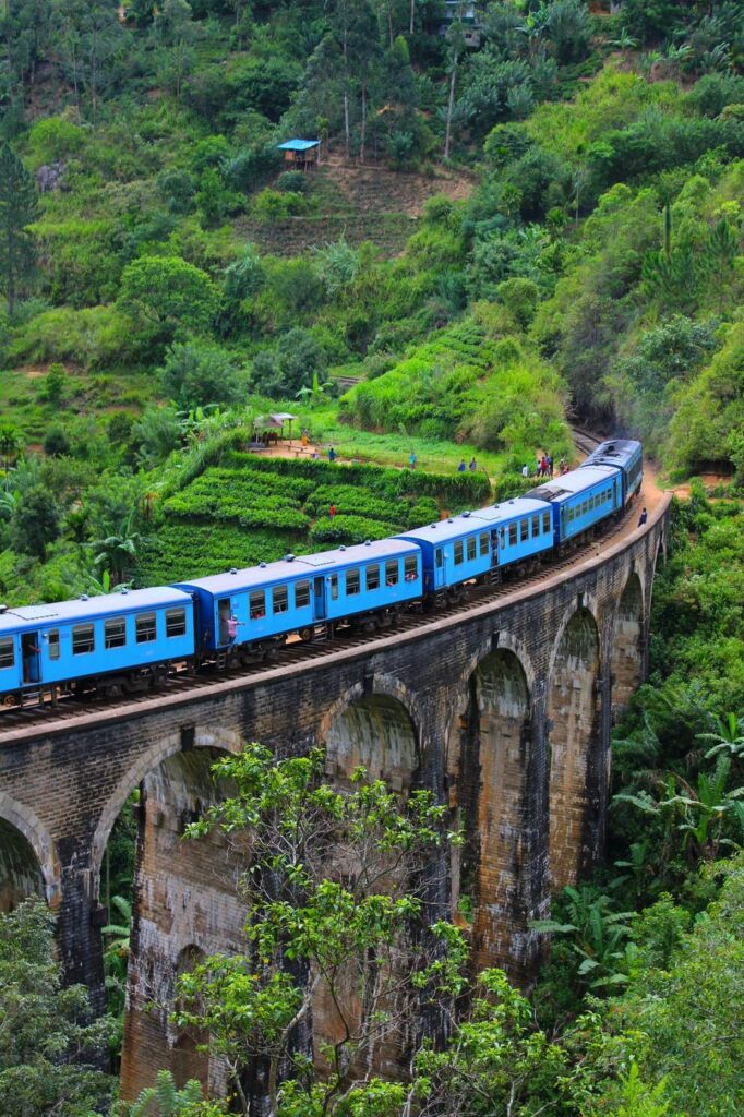 Le Sri Lanka un coeur vagabond agence de rencontre et de voyage