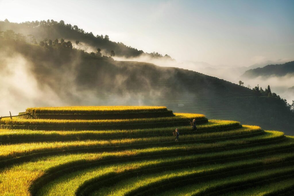 La Vietnam un coeur vagabond agence de rencontre et de voyage