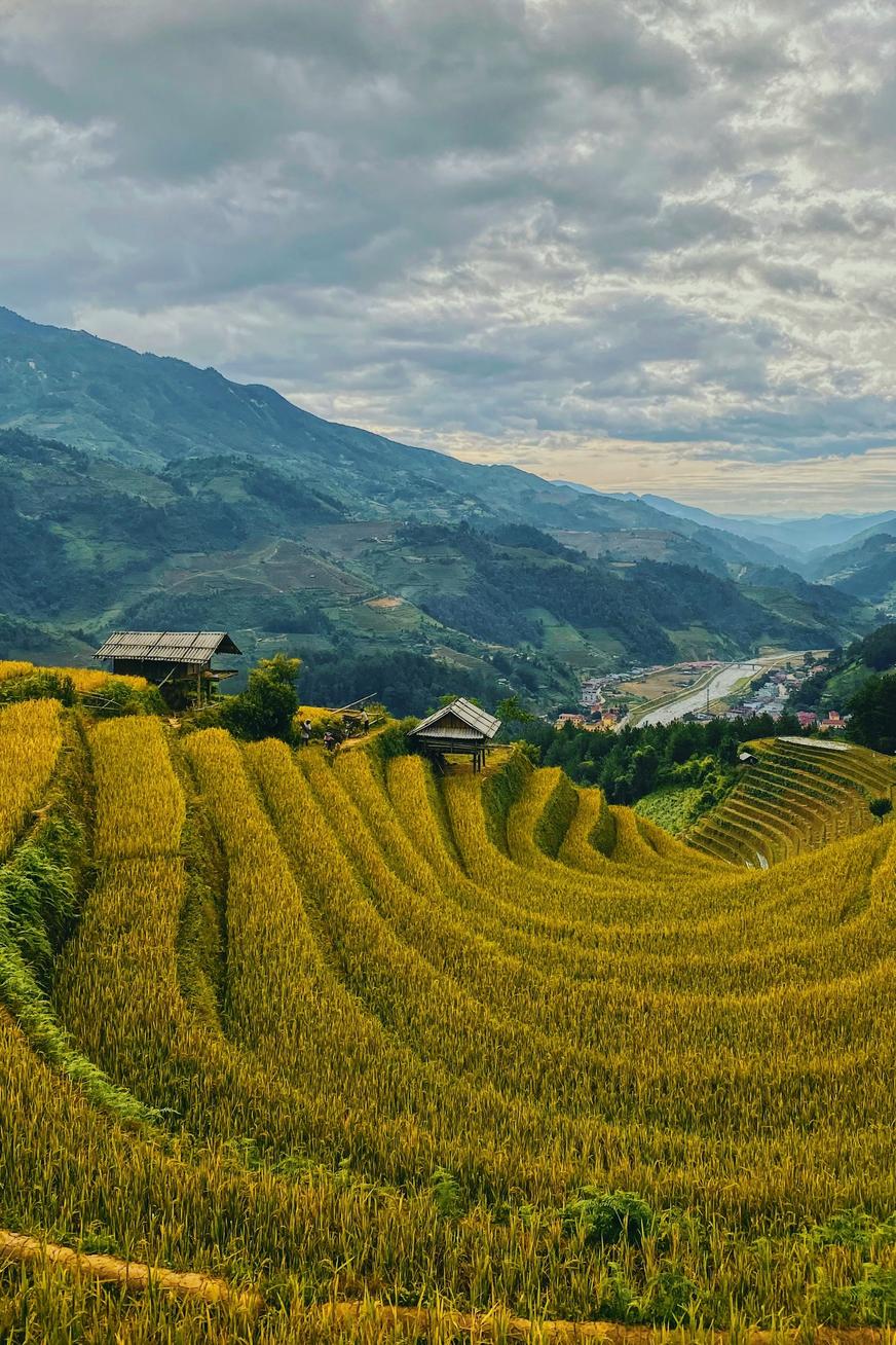 La Vietnam un coeur vagabond agence de rencontre et de voyage