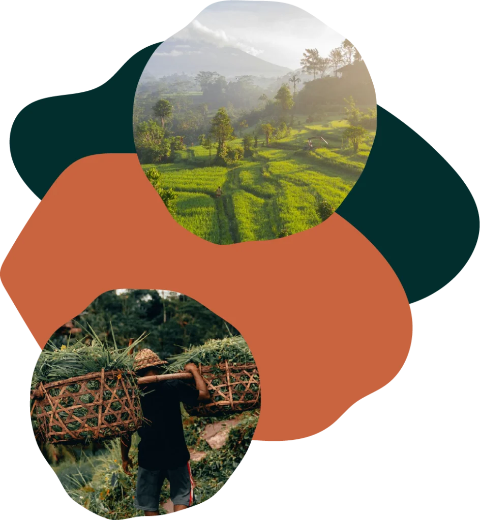Bali un coeur vagabond agence de rencontre et de voyage