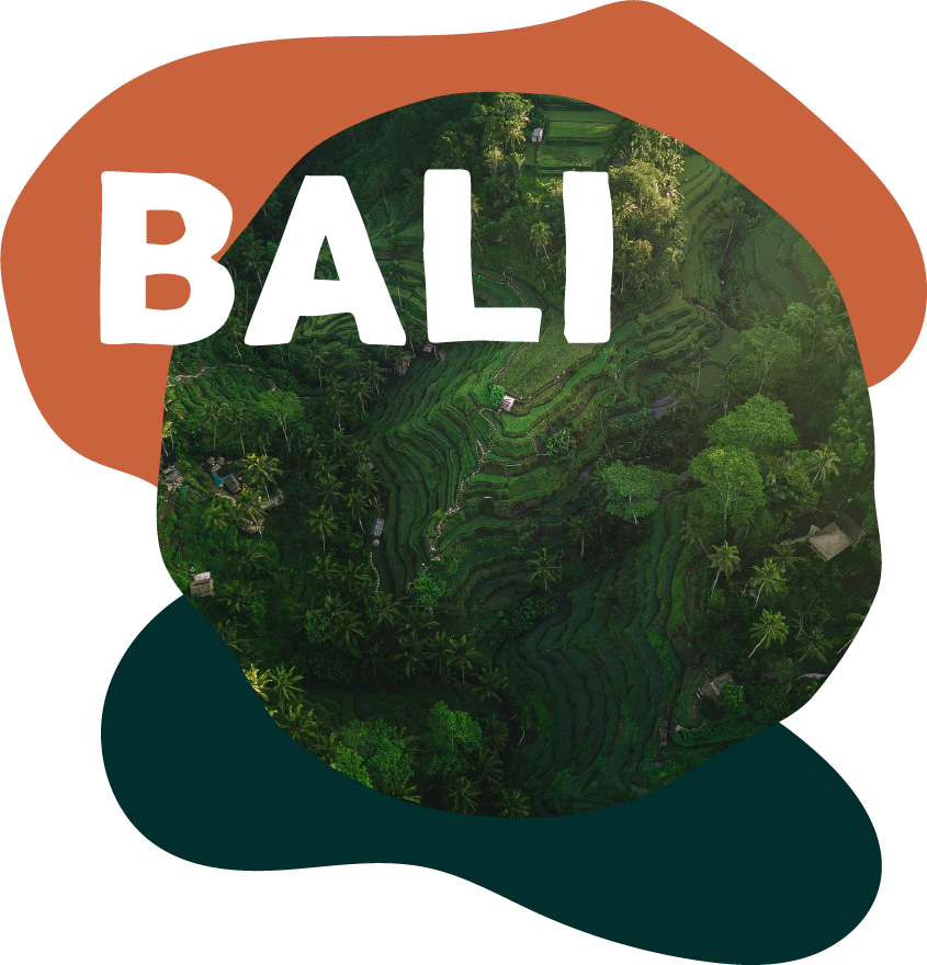Bali un coeur vagabond agence de rencontre et de voyage