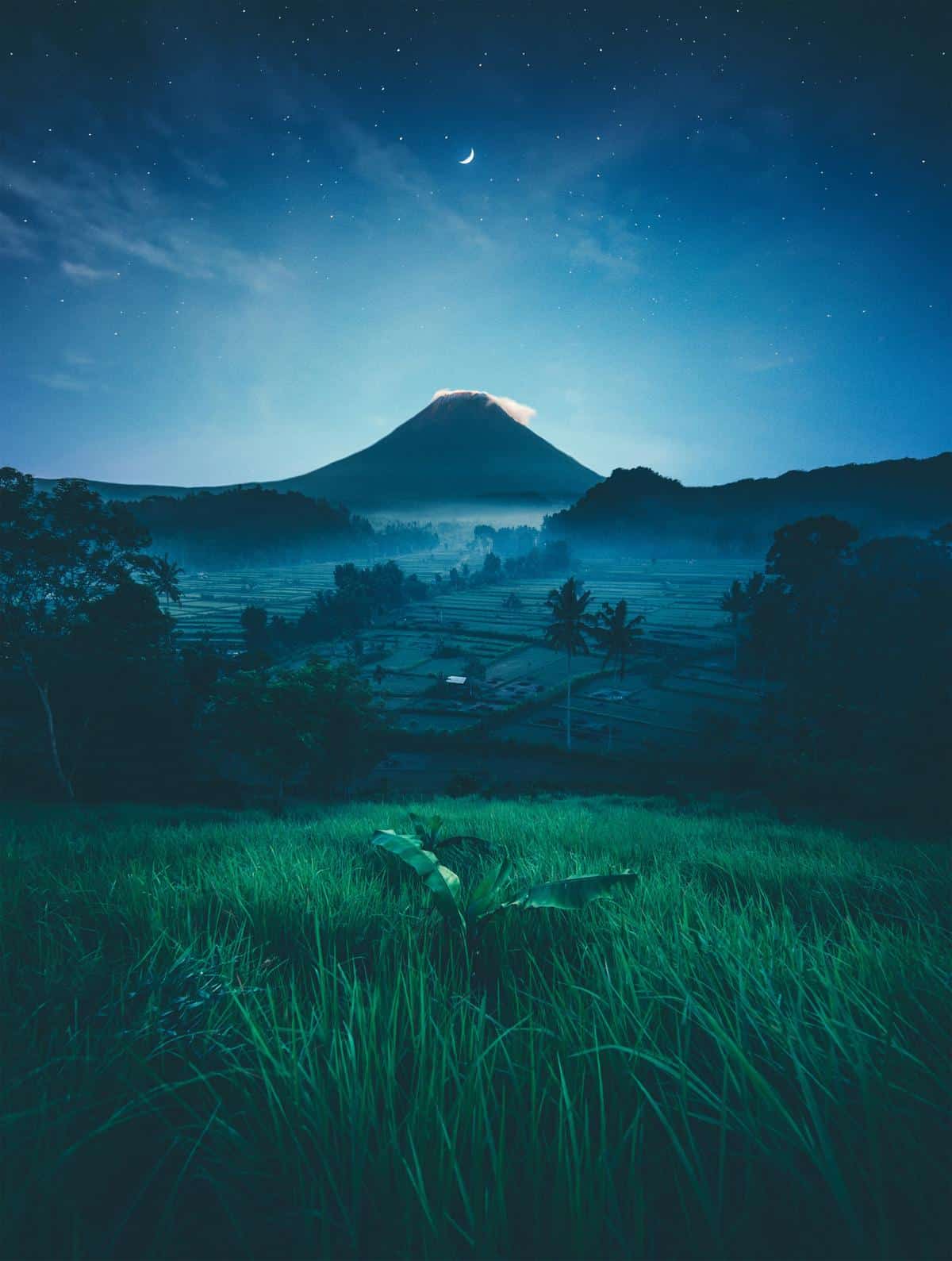 Bali un coeur vagabond agence de rencontre et de voyage