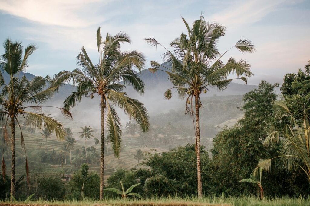 Bali un coeur vagabond agence de rencontre et de voyage