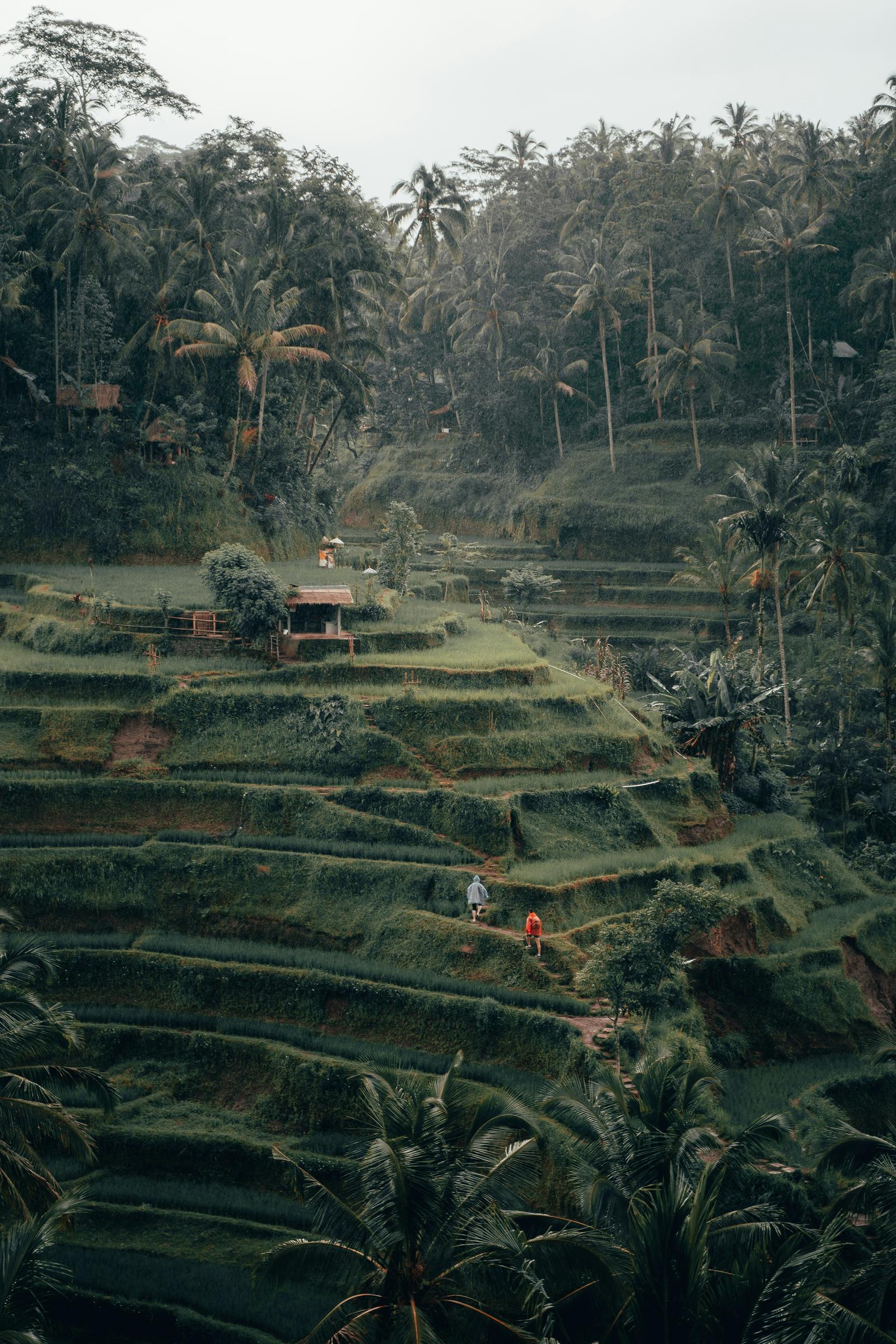 Bali un coeur vagabond agence de rencontre et de voyage