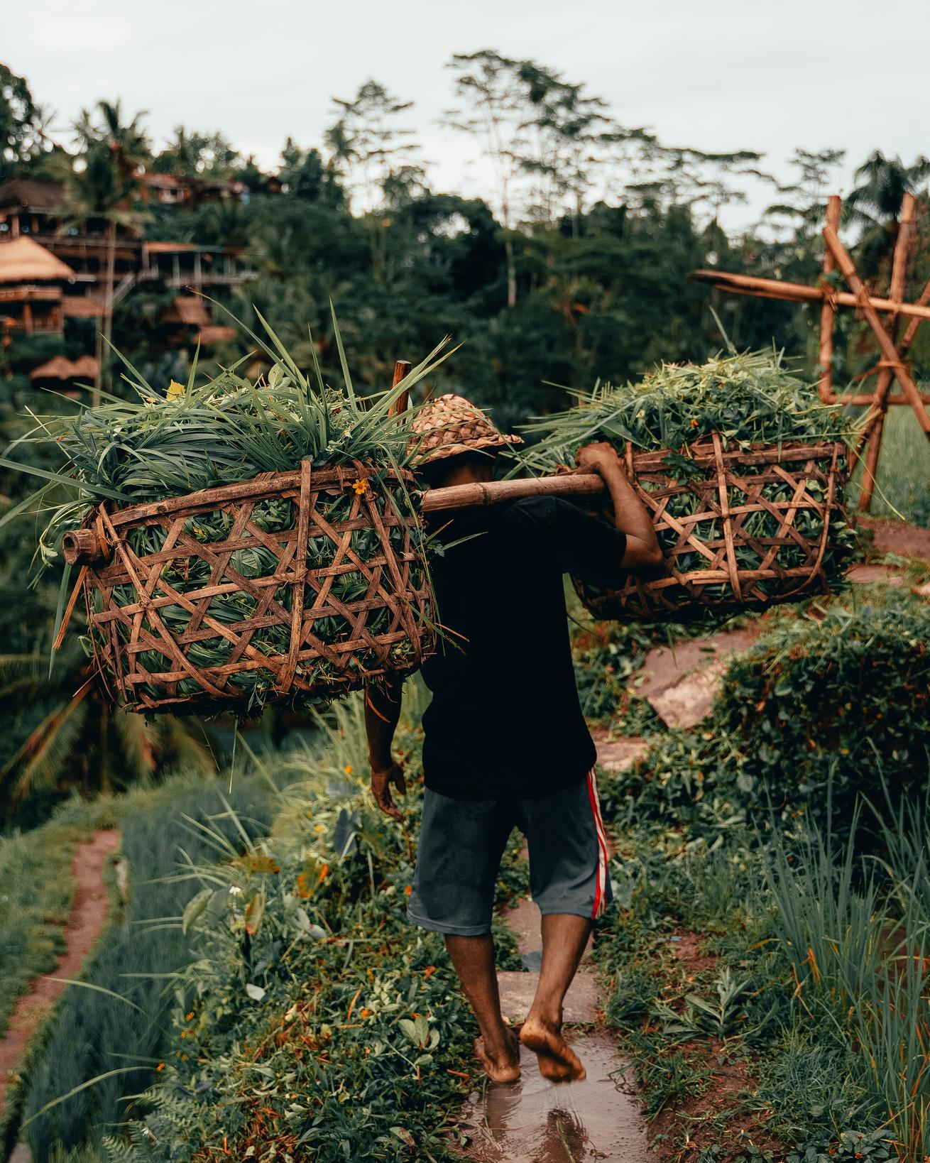 Bali un coeur vagabond agence de rencontre et de voyage