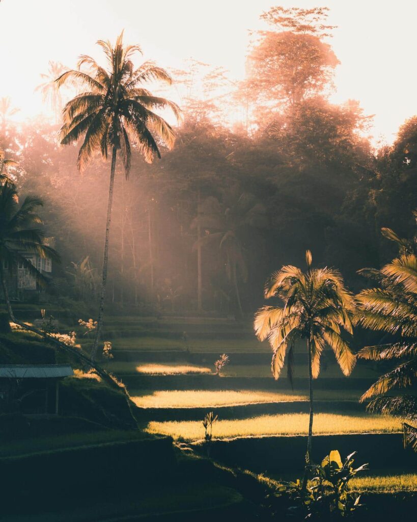 Bali un coeur vagabond agence de rencontre et de voyage