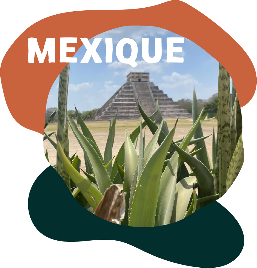 le mexique un coeur vagabond agence de rencontre et de voyage lgbtqia+
