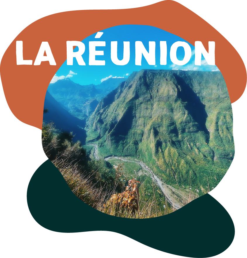 la réunion un coeur vagabond agence de rencontre et de voyage lgbtqia+