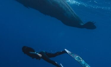 île Maurice un coeur vagabond agence de rencontre et de voyage