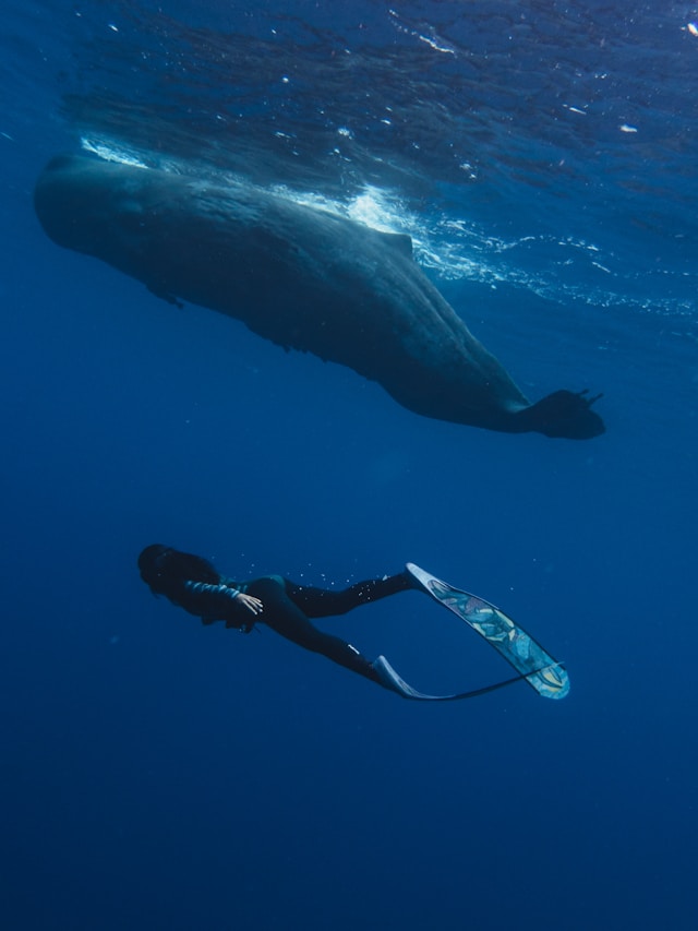 île Maurice un coeur vagabond agence de rencontre et de voyage