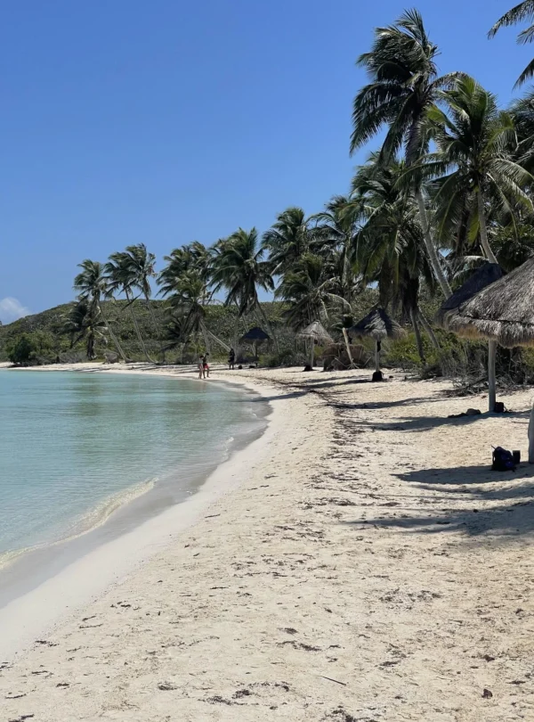 Mexique un coeur vagabond agence de rencontre qui fait voyager