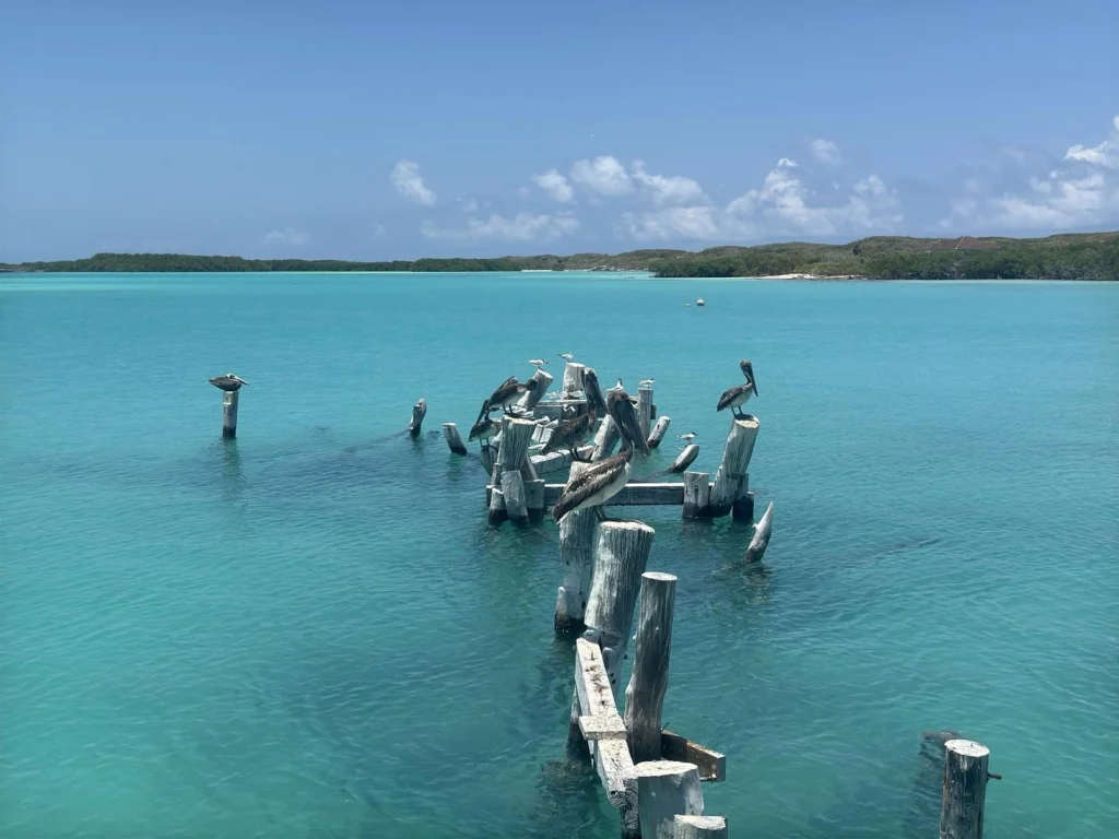 Mexique un coeur vagabond agence de rencontre qui fait voyager