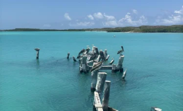Mexique un coeur vagabond agence de rencontre qui fait voyager