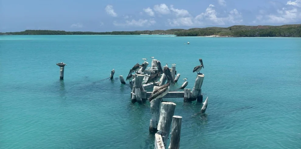 Mexique un coeur vagabond agence de rencontre qui fait voyager