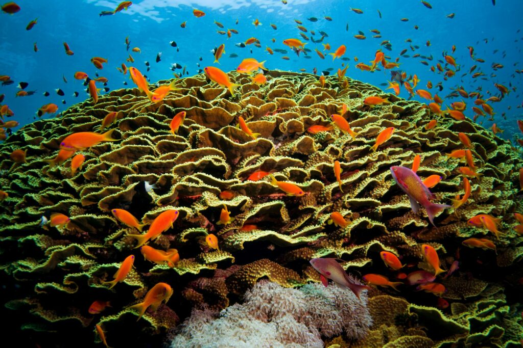 Hurghada un coeur vagabond agence de rencontre qui fait voyager