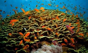 Hurghada un coeur vagabond agence de rencontre qui fait voyager