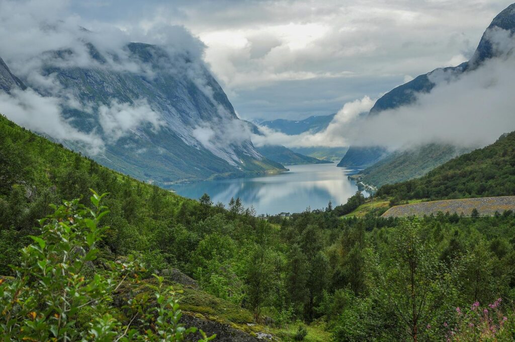 scenic view of misty norwegian fjord landscape